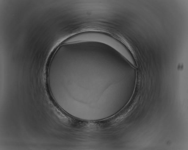X0000089410787200707131800