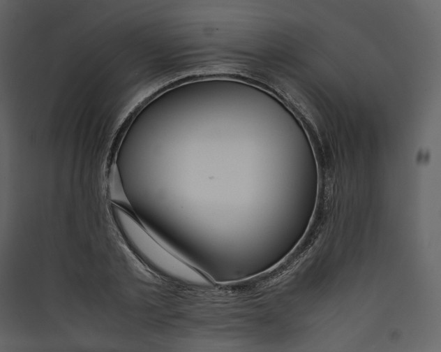 X0000089410789200707131800