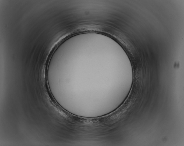 X0000089410790200707131800