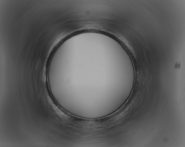 X0000089410791200707131800