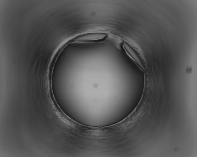 X0000089410792200707131800