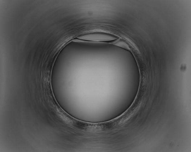 X0000089410793200707131800