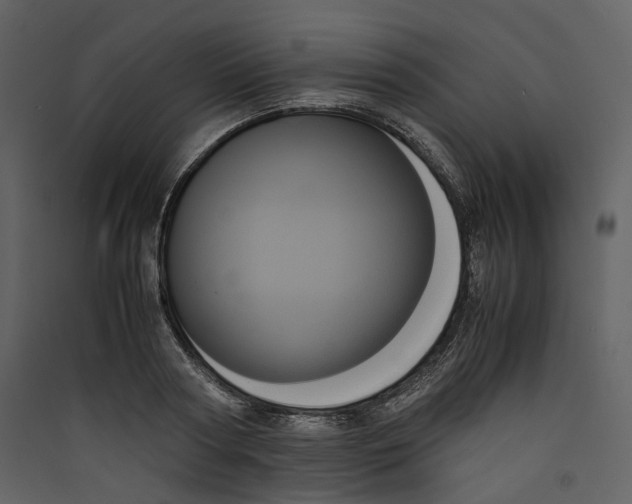 X0000089410794200707131800