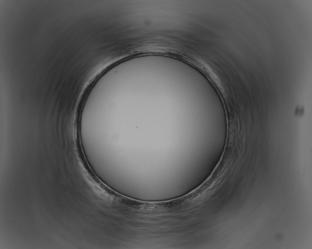 X0000089410795200707131800