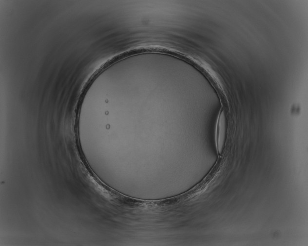 X0000089410799200707131800