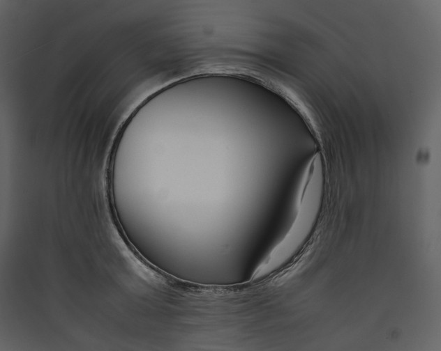 X0000089410803200707131800
