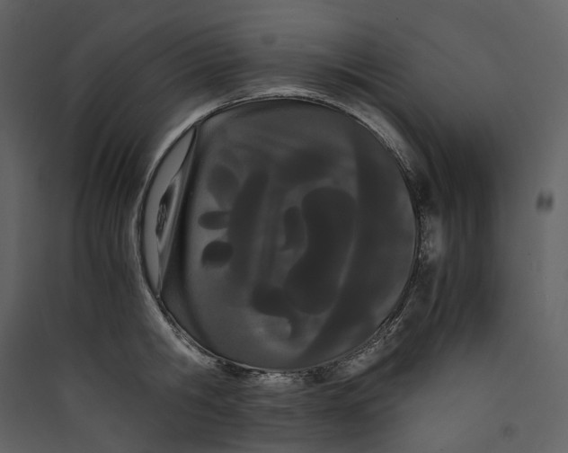 X0000089410806200707131800