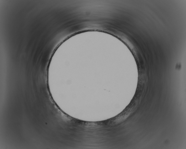 X0000089410807200707131800