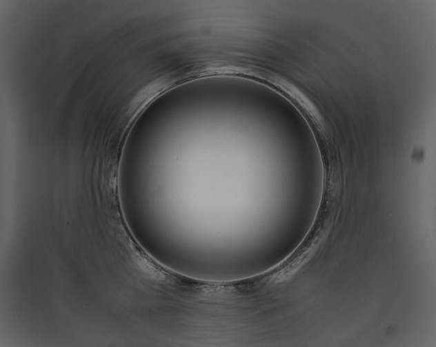 X0000089410809200707131800