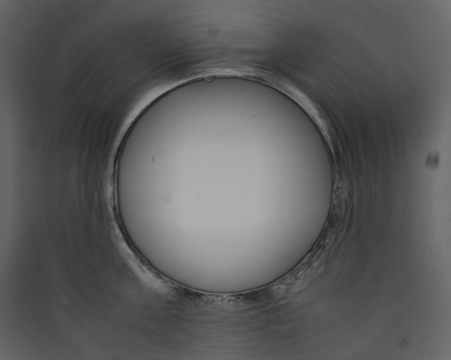 X0000089410811200707131800