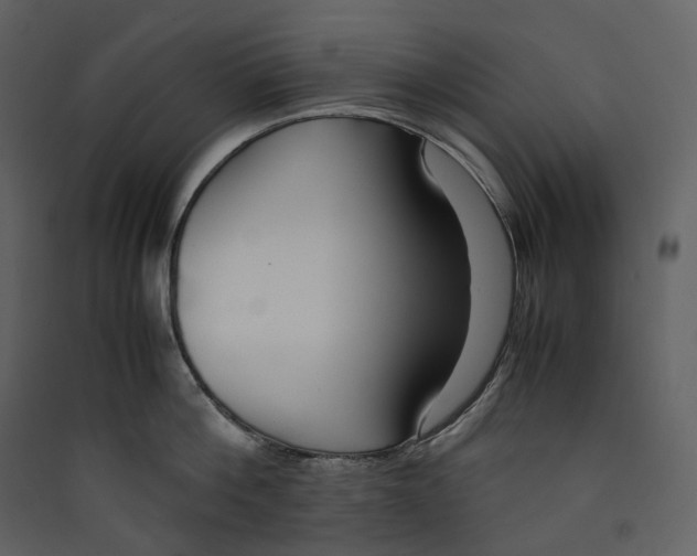 X0000089410812200707131800