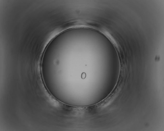 X0000089410813200707131800