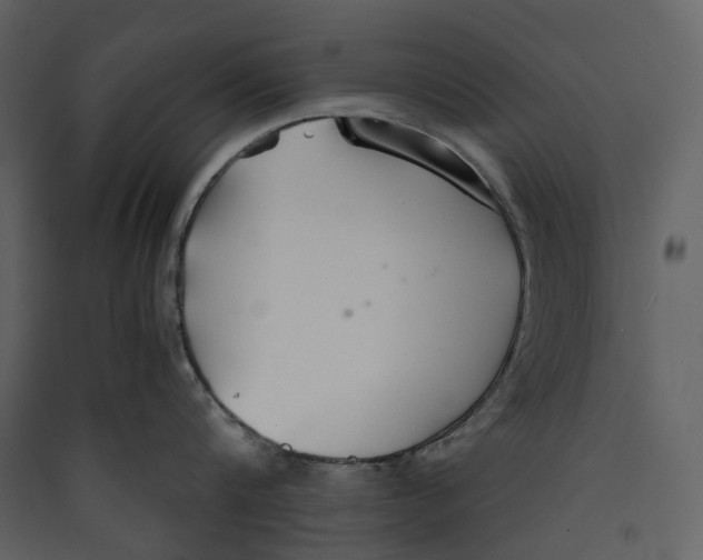 X0000089410816200707131800