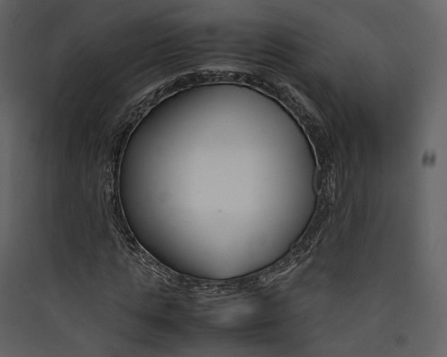 X0000089410821200707131759