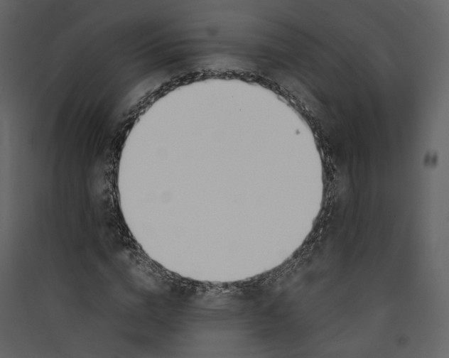 X0000089410824200707131759