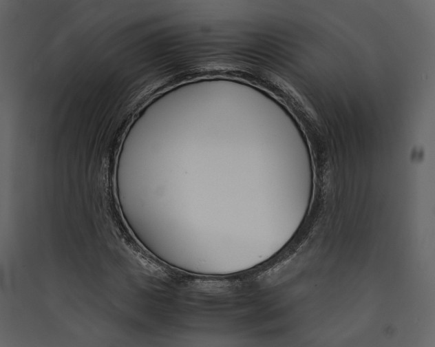 X0000089410825200707131759