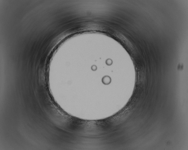 X0000089410828200707131759