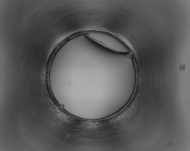 X0000089410831200707131759