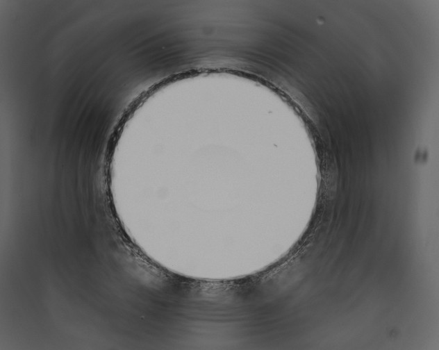 X0000089410832200707131759
