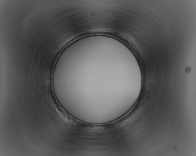X0000089410833200707131759