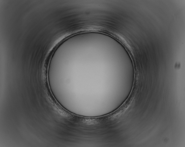 X0000089410835200707131759