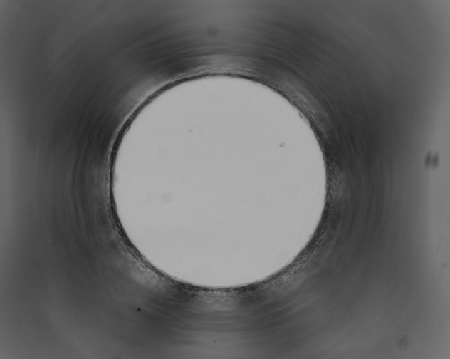 X0000089410836200707131759