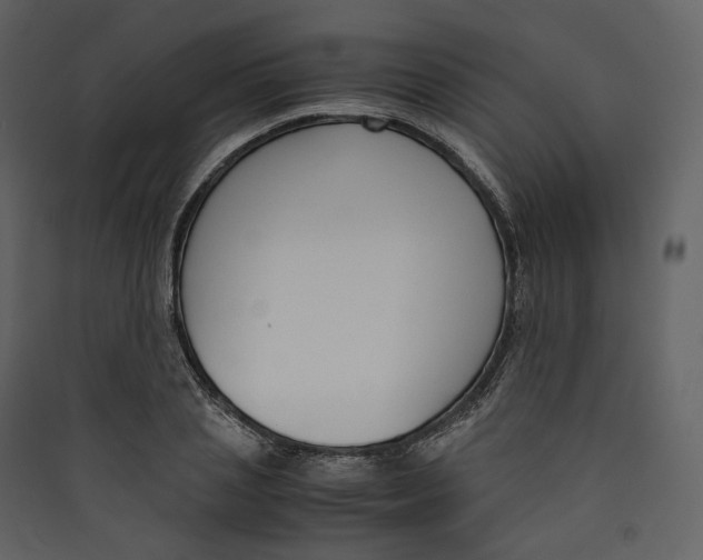 X0000089410837200707131759