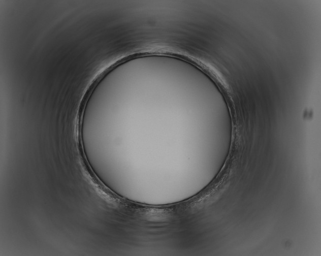 X0000089410839200707131759