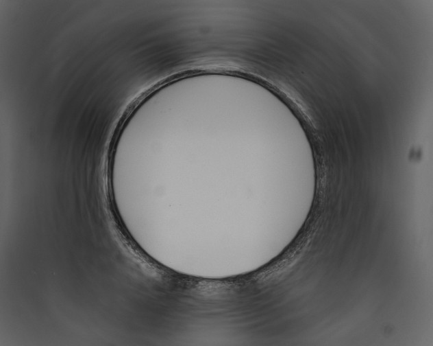X0000089410840200707131759