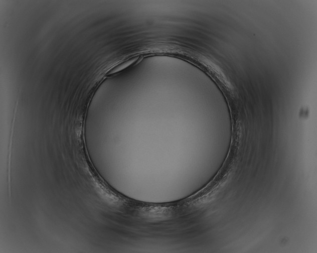 X0000089410841200707131759