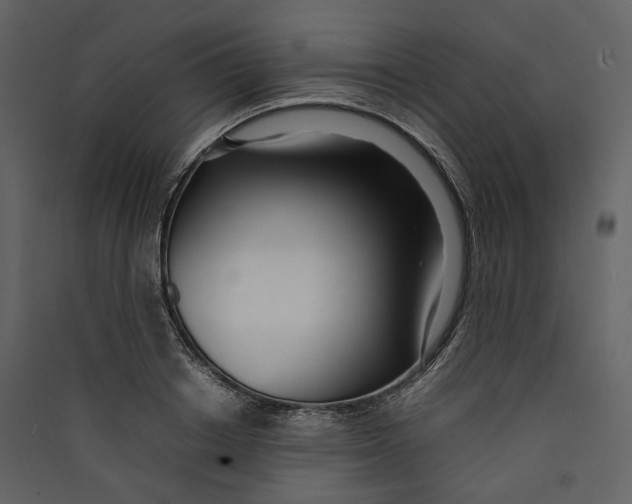 X0000089410842200707131759