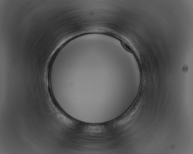 X0000089410843200707131759