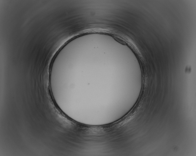 X0000089410844200707131759
