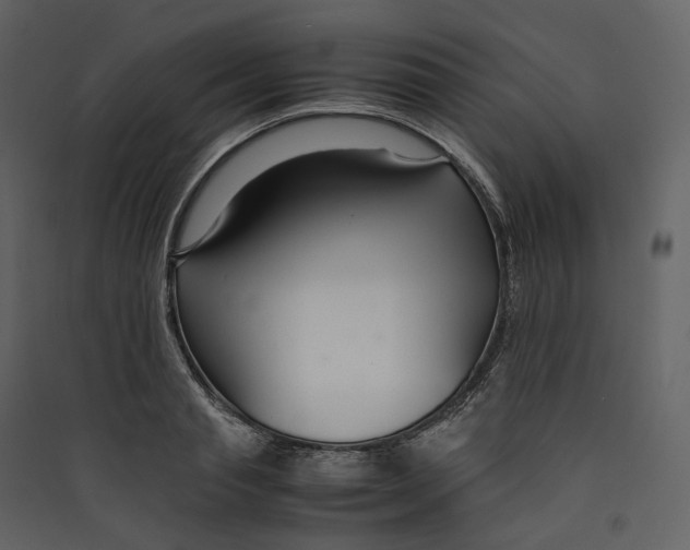 X0000089410845200707131759
