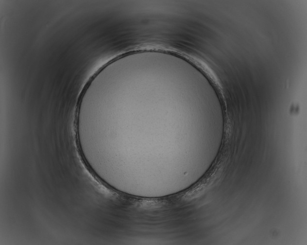 X0000089410847200707131759