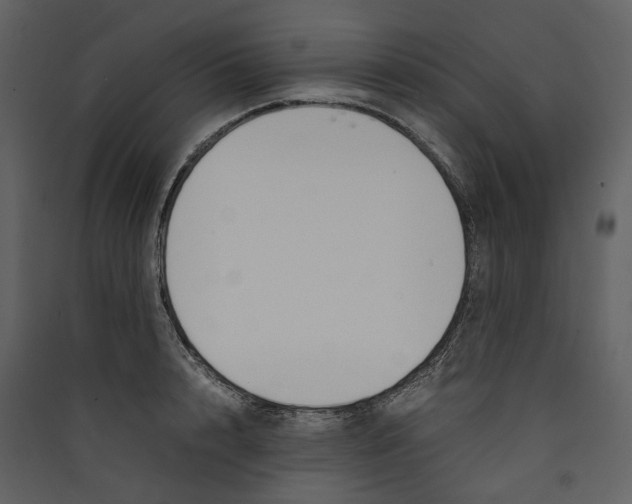 X0000089410848200707131759