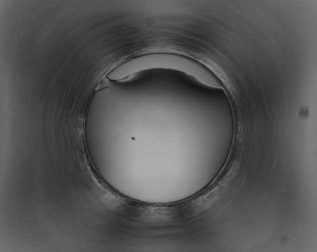 X0000089410849200707131759