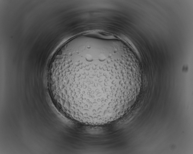 X0000089410851200707131759