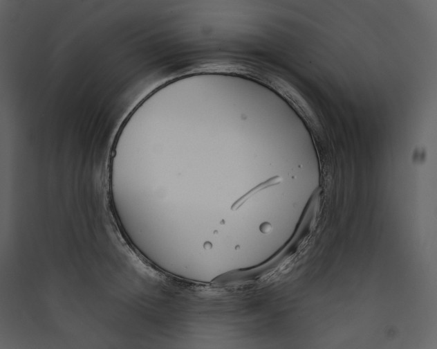 X0000089410852200707131759