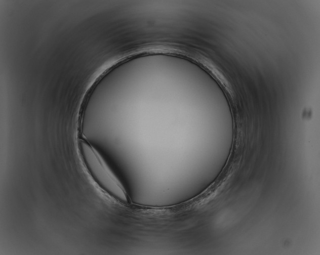 X0000089410853200707131759
