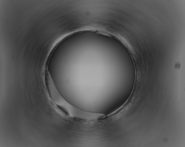 X0000089410854200707131759