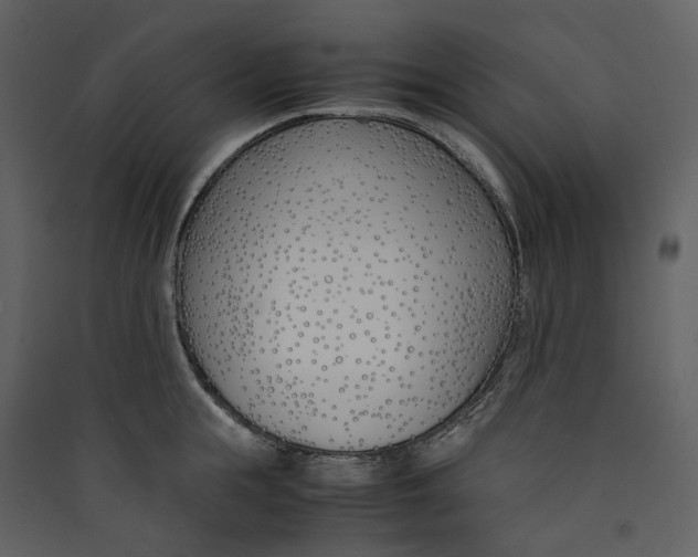 X0000089410855200707131759
