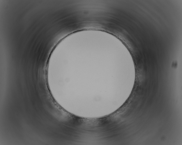 X0000089410856200707131759
