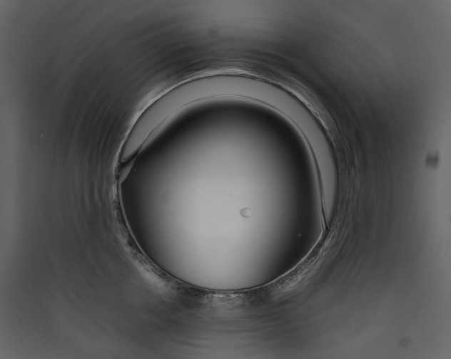 X0000089410858200707131759