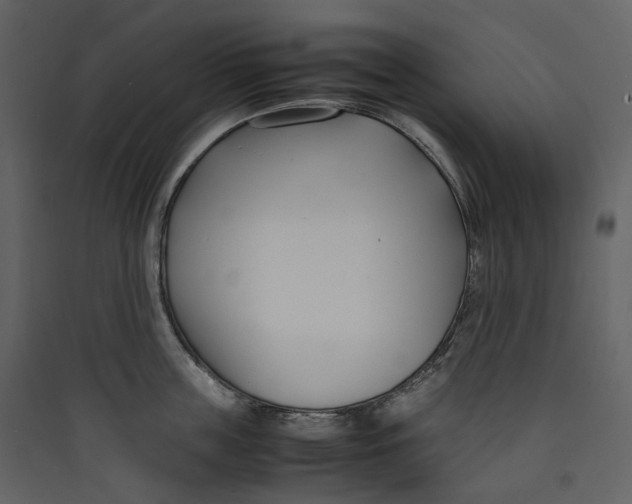 X0000089410859200707131759