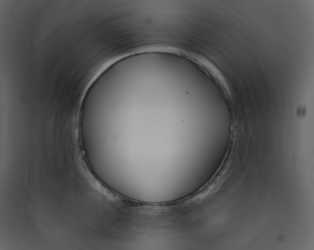 X0000089410860200707131759