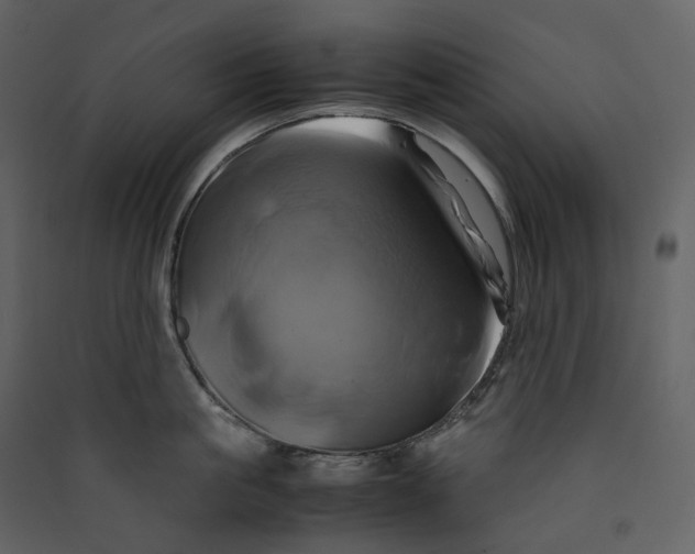 X0000089410861200707131759