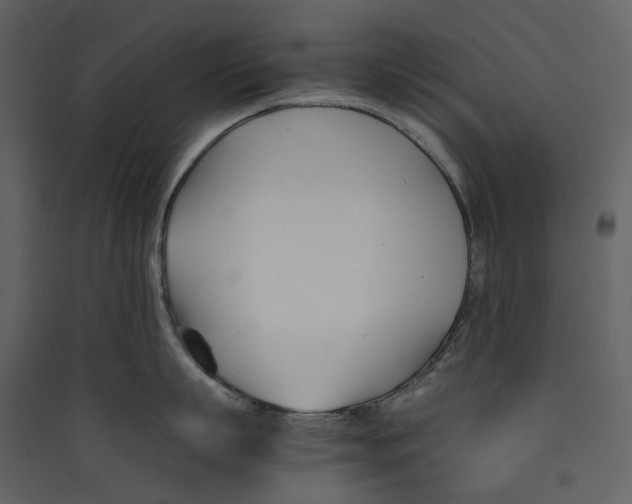 X0000089410863200707131759