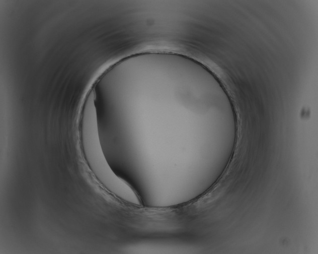 X0000089410864200707131800