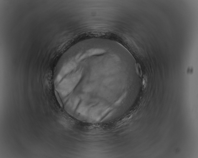 X0000089410867200707131759